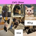 Rhinestone Cat Collar with Bells, 2Pack Breakaway Kitten Collars with — free download