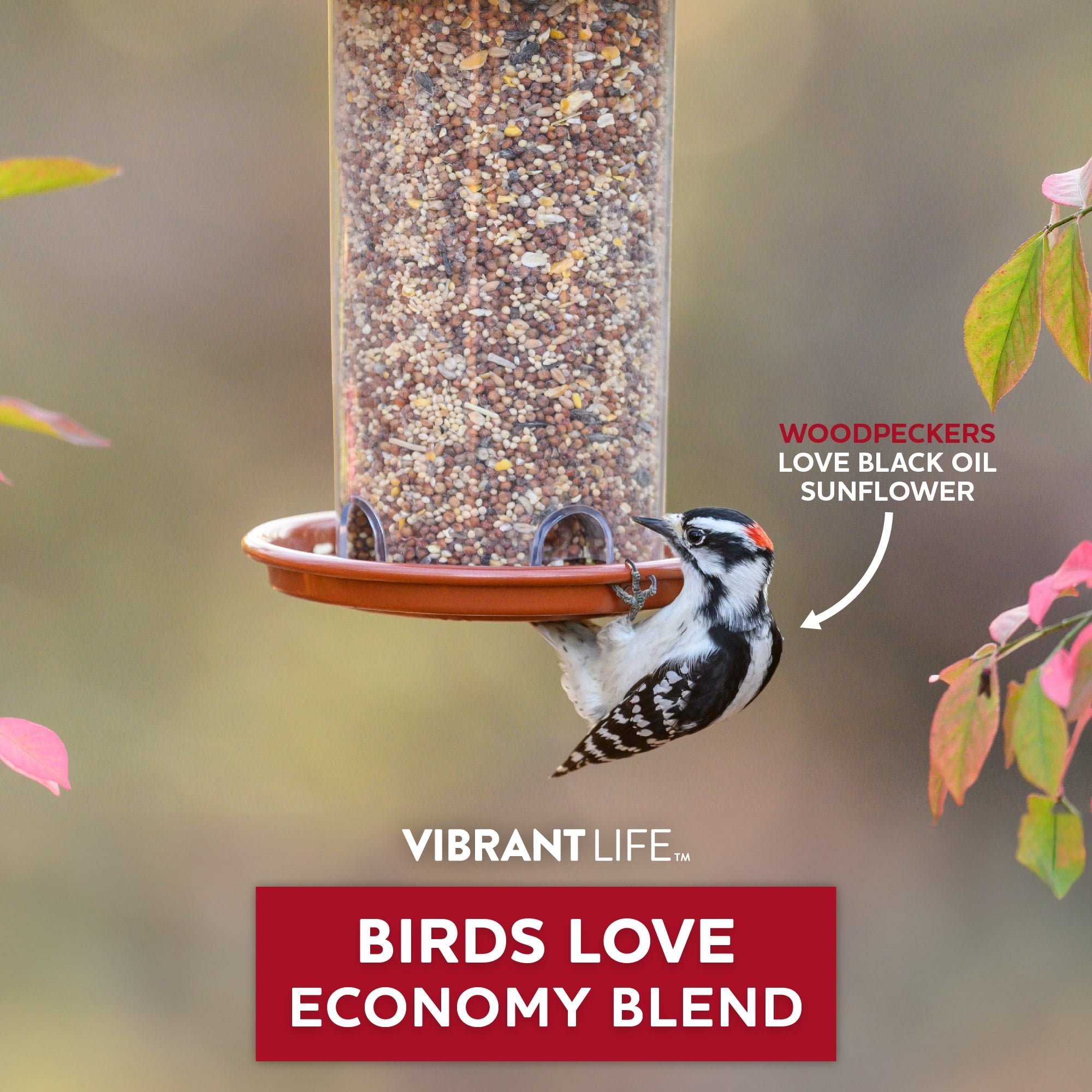 Vibrant Life Wild Bird Seed, Economy Blend, 40 lb Bag