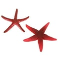 thumbnail image 2 of Fake Starfish, Nontoxic Simulation Luminous Starfish Movable Natural  For Fish  For Aquarium, 2 of 8