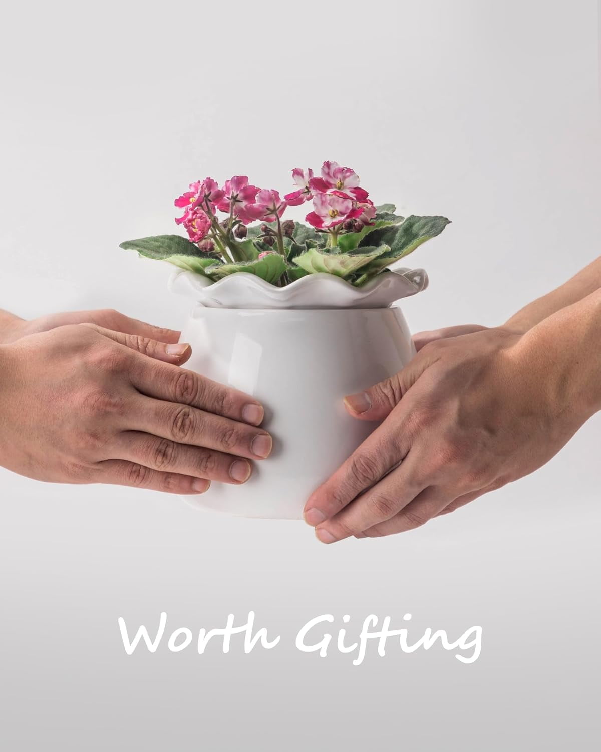 Self Watering Plant Pot, 6 Inch African Violet Pots Maintenance, Ceramic Self-Watering Planter for Indoor Plants - Ideal Flower Pot for Thriving Indoor Gardens