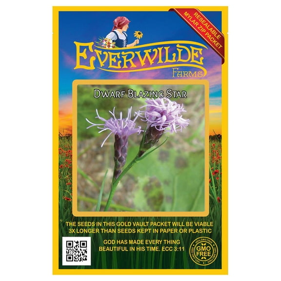 Everwilde Farms - 50 Dwarf Blazing Star Native Wildflower Seeds - Gold Vault Seed Packet