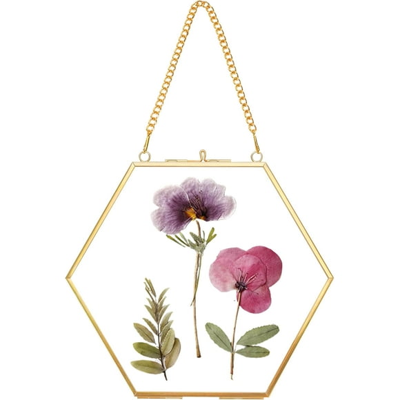 shiyou-Handmade Glass Frame for Pressed Flowers, Double Glass Brass Floating Frame, Wall Hanging Round Picture, Frame for Dried Flowers Poster Home Wall Decor, Hexagon, Gold, Height 6 inches