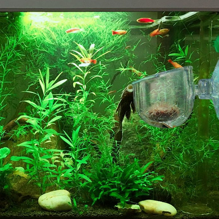 5 Pcs Clear Aquarium Plant Holder with Suction Cup, Fish Tank Decor for Aquatic  Plants & Shrimp, Acrylic Transparent Wall-Mounted Pot with Drain Holes,  Saltwater & Freshwater Tank Accessories - Walmart.com