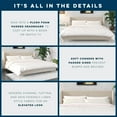 thumbnail image 6 of Novogratz Holly Upholstered Wingback Bed, King, Ivory Velvet, 6 of 20