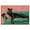 Silver Frame, variant on Lounging Panther Canvas Fashion Art Felines by Art Remedy, Gallery Wrapped, 30 x 20