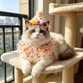 thumbnail image 4 of Tong Birthday Party Hat Bibs Scarf And Cat, 4 of 6