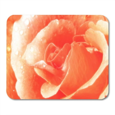 LADDKE Orange Beautiful Peach Colored Rose Water Droplets Pink Beauty Best Mousepad Mouse Pad Mouse Mat 9x10