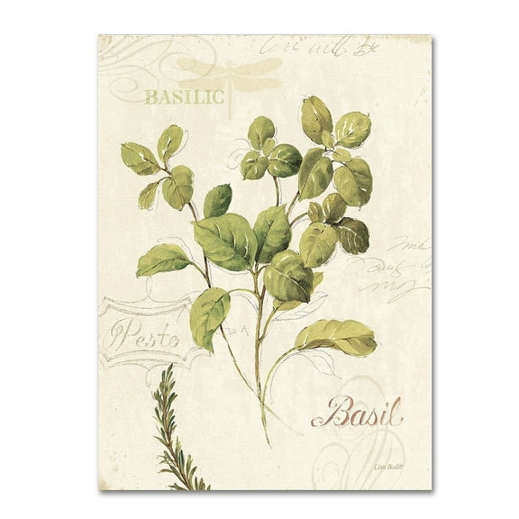 Lisa Audit 'Aromantique III' Canvas Art