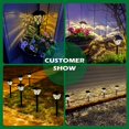 thumbnail image 2 of Paquete de 2 luces solares LED para exteriores, luces decorativas para paisajes, caminos, jardines, entradas, impermeables Rojo Verde, 2 of 5