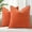 Rust, variant on Christmas Couch Throw Pillow Covers 24x24 Set of 2, Decorative Soft Euro Velvet Neutral Chenille Pillow Covers with Elegant Design for Sofa Bed Living Room Home Decor, Rust