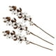 thumbnail image 1 of uds 10 cápsulas tallos de algodón Natural Kapok flor seca boda fiesta decoración del hogar 60cm, 1 of 11