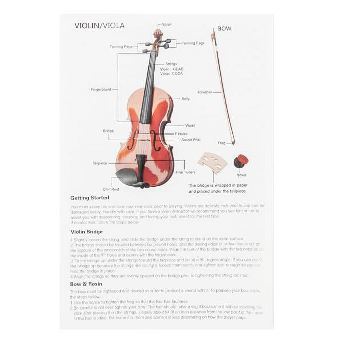 Alvantor Full-Size 4/4 Spruce and Maple Acoustic Violin Set for Adult and Student Players, Matte White