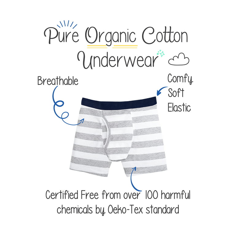 Little Star Organic Toddler Boy 7 Pk Underwear Boxer Briefs, Size