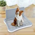 thumbnail image 6 of Dog Toilet Anti Splashing Removable Lattice Puppy Potty Tray with Urinary Column Pet Training Toilet Tray for Small and Medium Dogs Kitten White, 6 of 9