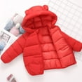 thumbnail image 5 of 1-6T Toddler Baby Girls Boys Winter Cartoon Coat Hooded Warm Outwear Kids Infant Jackets, 5 of 8