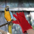 thumbnail image 3 of 1 par de guantes antimordeduras, guantes para alimentar a los loros, guantes protectores para mascotas (rojo), 3 of 4