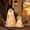 A, variant on Halloween Decorations 2PC Outdoor Spooky Witch Ghost Dog With Light Party and Yard