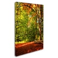 thumbnail image 2 of Trademark Fine Art 'Sideways Dreaming' Canvas Art by Philippe Sainte-Laudy, 2 of 3