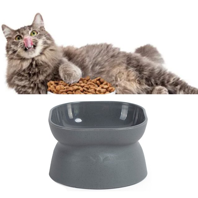 <p>Cat Bowl, Raised Pet Bowl High Capacity Tilted For Small Animals</p>