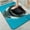 Shark Mouth Close up, variant on 1pc Shark Mouth Close up Bathroom Rug Bathroom Decor and Accessories- Durable,Anti Slip,And Quick Drying,Suitable For Bathrooms,Bedrooms,Kitchens,And Laundry Rooms - Washable Bathroom Mat