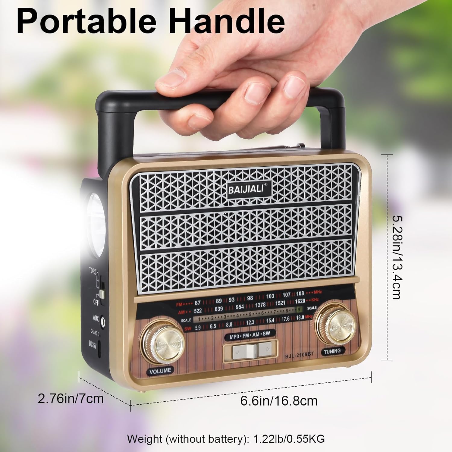 LC-dolida Portable Emergency Radio AM/FM/SW with Bluetooth LED Flashlight Dual Power Supply TF Card/USB Playback, Strong Reception Loud Sound for Home Seniors Outdoor Use