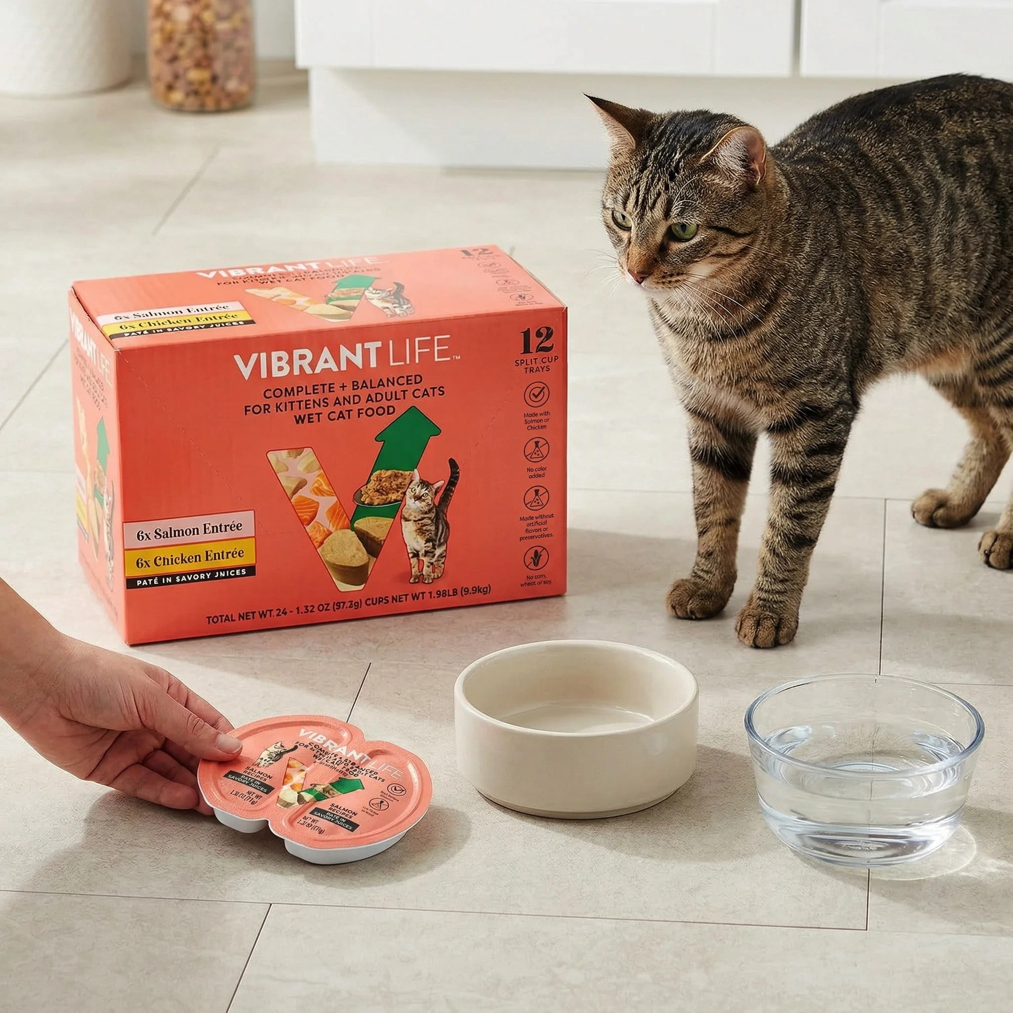 (12 pack) Vibrant Life Wet Cat Food, Salmon & Chicken Pate in Savory Juices, Grain-Free, 2.64 oz Split Trays, 12 Count