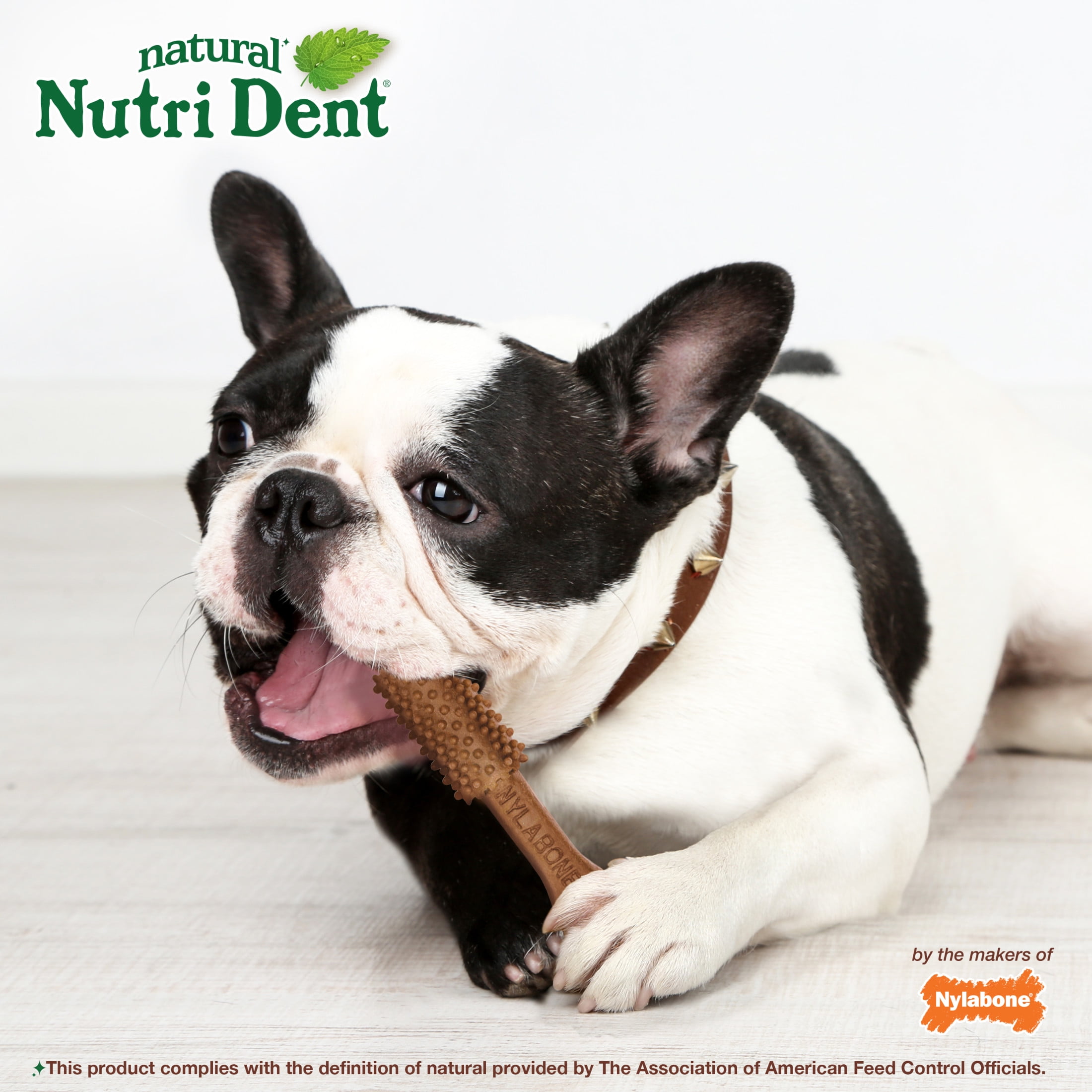 Nylabone Nutri Dent Natural Dental Chews for Dogs, Limited Ingredient Dog Treats, Teeth Cleaning Dental Sticks for Dogs, Filet Mignon Flavor, For Medium Dogs (20 Count)