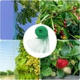 Bird Netting Green Garden Netting Fruit And Vegetables Keep From Birds And Animals 2 Sets Net ...