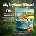 Hawaiian Macadamia Nut Company MMF7 Dry Roasted Macadamia Nuts with Sea
