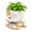 White 1, variant on Rocking Chair Smile Face Planter Resin Indoor Outdoor Small Plant Pot with Drainage Hole Cute Succulent Pot for Garden Balcony