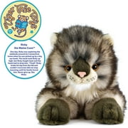 Ricky the Maine Coon | 16 Inch Stuffed Animal Plush | By TigerHart Toys