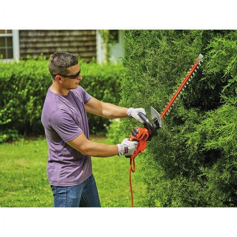  BLACK+DECKER Hedge Trimmer, Rotating Handle, Dual Blade Action  Blades, 3.3-Amp, 24-Inch (HH2455) : Power Hedge Trimmers : Patio, Lawn &  Garden