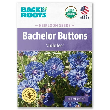 Back to the Roots Organic Cornflower/Bachelor Buttons 'Jubilee', 1 Seed packet