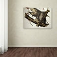 thumbnail image 3 of Trademark Fine Art "Virginian Opossum" Canvas Art by John James Audubon, 3 of 3