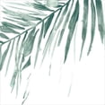 thumbnail image 3 of Vess, June Erica 15x15 Black Modern Framed Museum Art Print Titled - Verdant Impressions VIII, 3 of 5