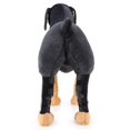 thumbnail image 3 of Rodilleras Para Perros Con Rodilleras Para Heridas. Rodilleras para perros mascotas-m-incluidas barras de soporte, 3 of 3