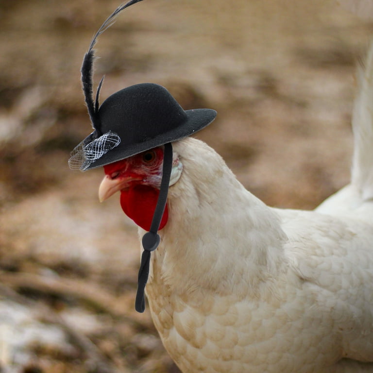 Funny Chicken Accessories Chicken Hat For Chickens Chicken Clothes