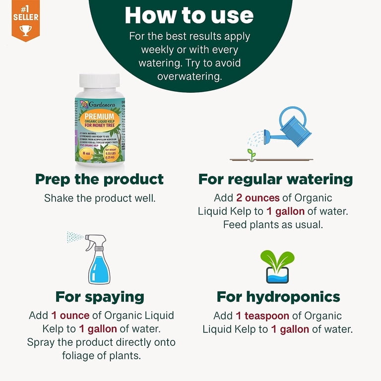 GARDENERA Money Tree Superfood - 32 oz - Premium Liquid Kelp Fertilizer for  Stunning Money Tree Displays - Walmart.com