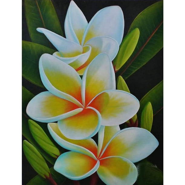 Diamond Painting Kit for Adults,Valentines Diamond Painting Kits Frangipani  Full Drill 5D Valentines Diamond Art Kits Painting Wall Home Decor 30x40cm  Birthday Present : : Home & Kitchen