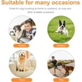 thumbnail image 4 of Couches pour Chiens Réutilisables, Lot de 3 Couches Lavables Ajustables pour Chiens, 4 of 5