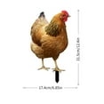 thumbnail image 3 of Realistic Chicken Statues,Acrylic Rooster Animals Stakes,Animals Sculptures Decor,Chicken Ornaments Yard Art Decor For Backyard Patio, 3 of 7