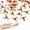 Gold, variant on Duslogis Christmas Holly and Berry Christmas Embellishments, 100 PCS Mini Craft Berry Greens Leaf Sequins, for Christmas Wreath Arrangement DIY Craft for Christmas Card Gift Tags