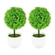 thumbnail image 1 of Wakauto 2pcs Plantas en maceta artificiales Delicadas Simuladas de hierba verde Bola Faux plantas en maceta para la mesa de la casa, 1 of 5