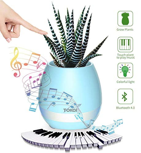 bluetooth plant pot