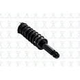 thumbnail image 2 of Focus 1345881 Suspension Strut & Coil Spring Assembly, 2 of 5