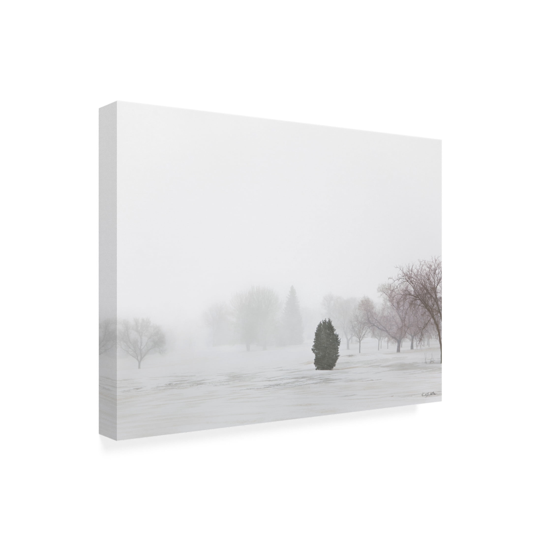 Canvas Wall Art - Kent Burkhardsmeier 'Growth' Wall Art for Living Room, Bedroom, or Office Décor by Trademark Fine Art - 19 x 14 Inches