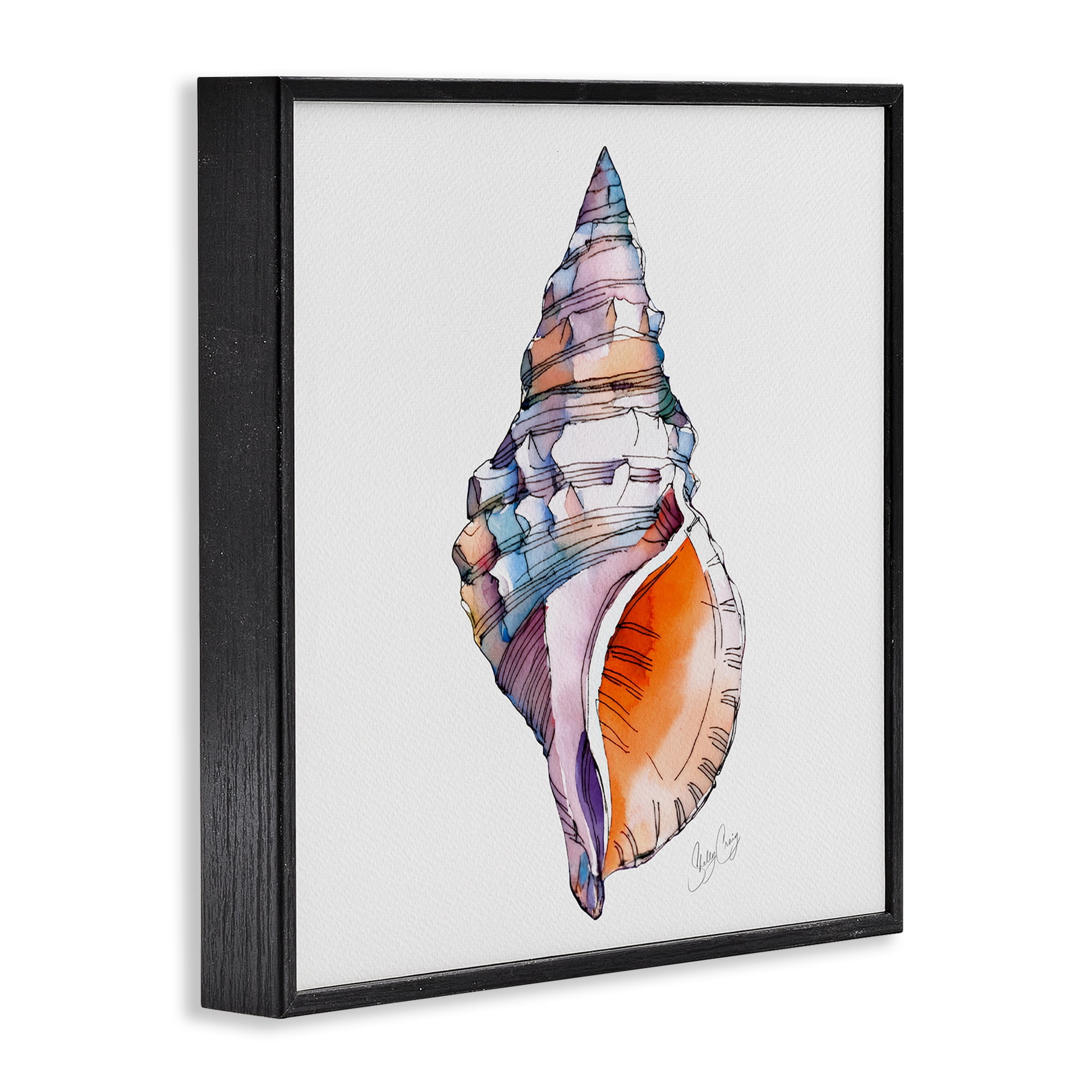 Stupell Industries Sunrise Conch Shell Black Framed Giclee Art, design by Shelly Craig