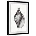 thumbnail image 2 of Marmont Hill Elegant Looking Shell Framed Painting Print, 2 of 4