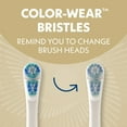 thumbnail image 4 of Spinbrush Nettoyage Intelligent Brosse à Dents Électrique à Piles pour Adultes avec Tête à Double Action, Pacer et Minuterie, Champagne, Soies Souples, 4 of 8