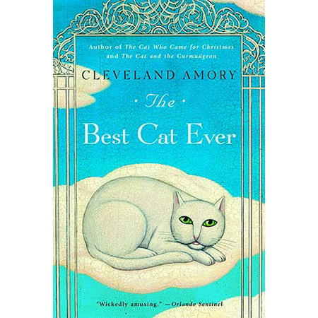 The Best Cat Ever (Best Cat Litter 2019)